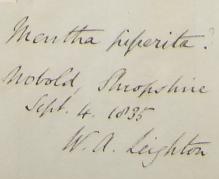 Rev._William_Alport_Leighton_1805__1889_1