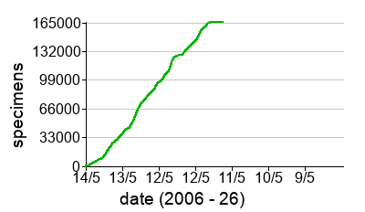 Line graph showing cumulative number of herbarium sheets documented over time.