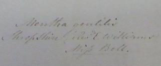Rev._Edward_Williams_1762__1833