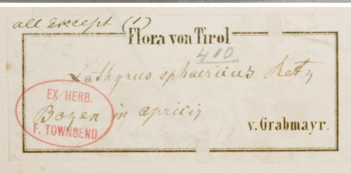 Karl_von_Grabmayr_1848__1923