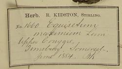 Robert_Kidston_1852__1924_1