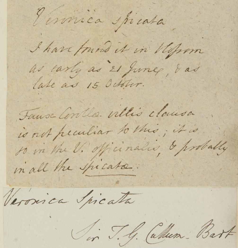 Rev._Sir_John_Cullum_1733__1785
