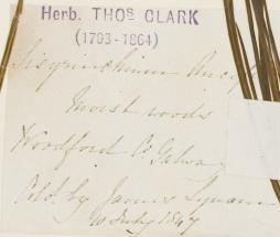 James_Lynam_1812__1885