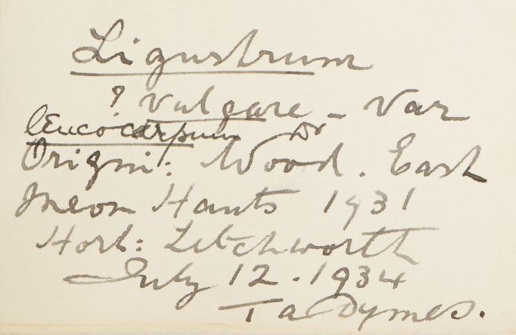 Thomas_Alfred_Dymes_F.L.S._A.L.S_1865__1944