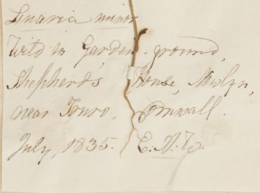 Elizabeth_Andrew_Warren_1786__1864_1
