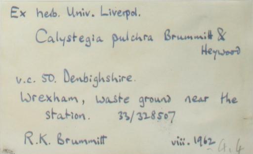 Richard_Kenneth_Brummitt_1937__2013