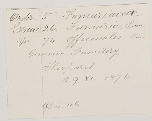 Mr_Langley_Kitching_1835__1910