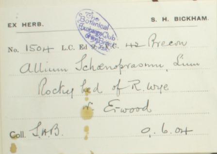 Mr_Spencer_Henry_Bickham_1841__1933