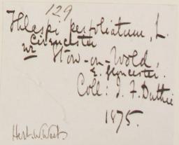 Prof_John_Firminger_Duthie_1845__1922