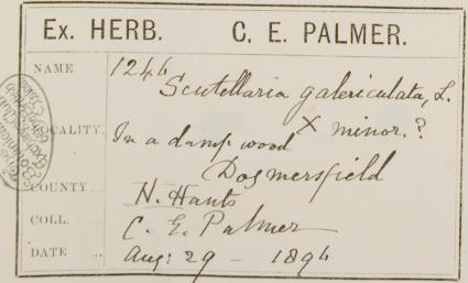 Miss_Charlotte_Ellen_Palmer_1830__1914