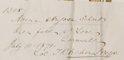 Mr_Thomas_Richard_Archer_Briggs_1836__1891_1