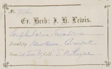 Mr_John_Harbord_Lewis_F.L.S__1890_1