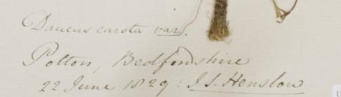 Rev_Prof_John_Stevens_Henslow_1796__1861