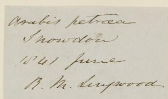 Robert_Maulkin_Lingwood_1813__1887