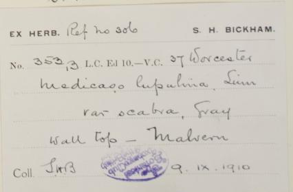 Mr_Spencer_Henry_Bickham_1841__1933_2