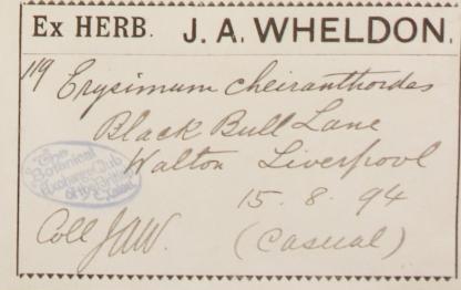 Mr_James_Alfred_Wheldon_1862__1924