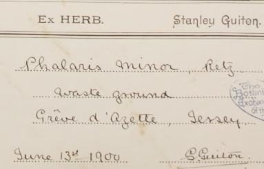 Mr_Stanley_Guiton_1875__1935
