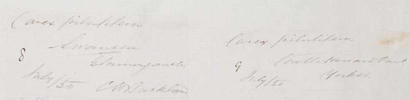 Cecil_H_Buckland_1