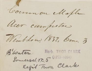 Mr_Thomas_Clark_1793__1864