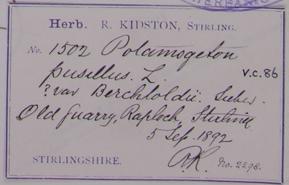Robert_Kidston_1852__1924