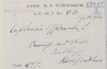 Mr_Richard_Francis_Towndrow_1845__1937