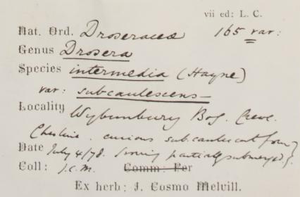 Mr_James_Cosmo_Melvill_BA_DSc_FLS_1845__1929