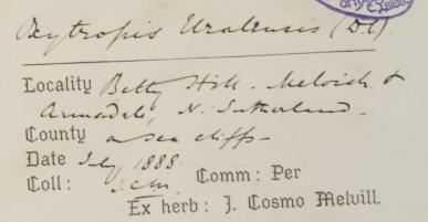 Mr_James_Cosmo_Melvill_BA_DSc_FLS_1845__1929_1