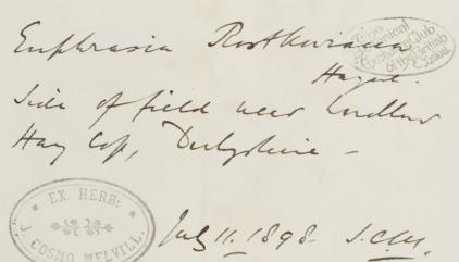 Mr_James_Cosmo_Melvill_BA_DSc_FLS_1845__1929_2