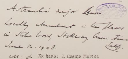 Mr_James_Cosmo_Melvill_BA_DSc_FLS_1845__1929_3