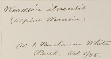 Mr_Francis_Buchanan_White_MD_FLS_1842__1894