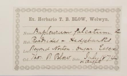 Mr_Thomas_Bates_Blow_F.L.S_1854__1941