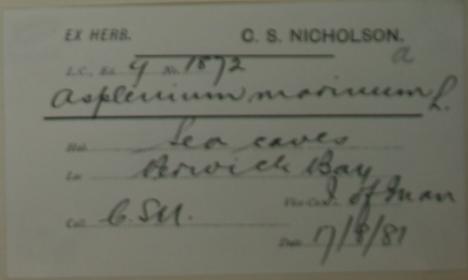 Charles_Smith_Nicholson__1918_2
