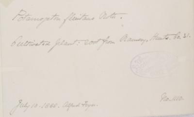 Mr_Alfred_Fryer_A.L.S_1826__1912