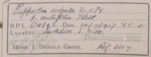 Joseph_Donald_Grose_1901__1973