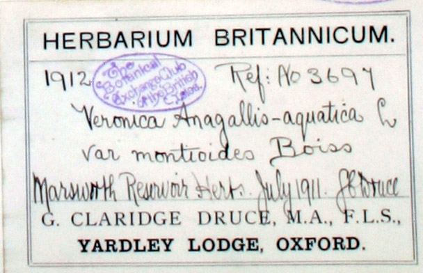 1639 Druce