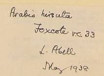 Louisa_Abell