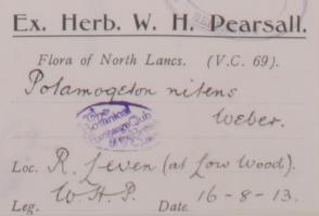 Prof_William_Harold_Pearsall_F.R.S._F.L.S_1891__1964