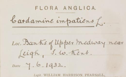 Mr_William_Harrison_Pearsall_1860__1936_1