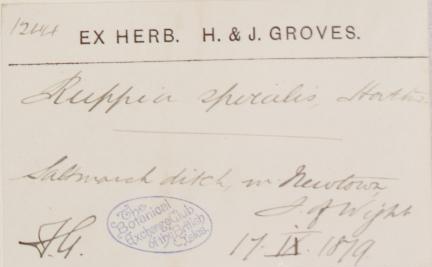 Mr_James_Groves_F.L.S_1858__1933
