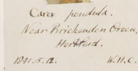 Rev._William_Higgins_Coleman_1816__1863_1