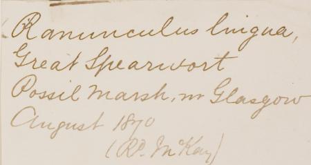 Richard_McKay_1840__1920