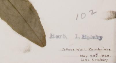 Mr_Isaac_A_Helsby__1941_1