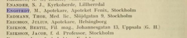 MagnusEngstedt2_3