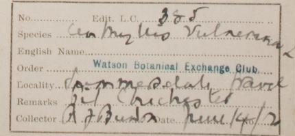 Rev_Rowland_John_Burdon_1858__1939