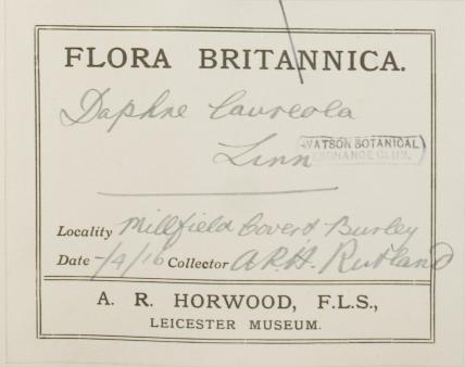 Mr_Arthur_Reginald_Horwood_F.L.S_1879__1937